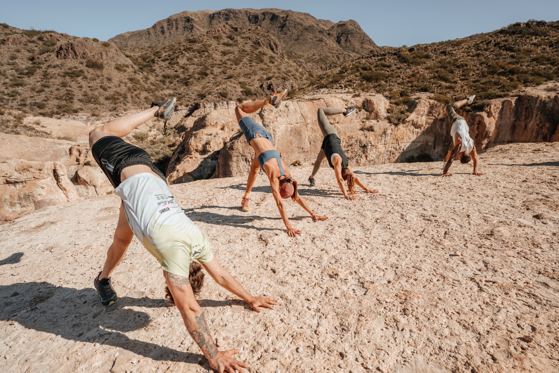 Practica de Animal Flow